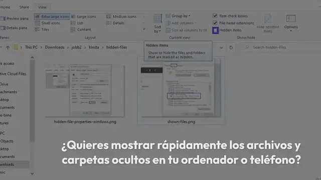 Video thumbnail for Cómo Mostrar los Archivos Ocultos en tu Ordenador y Smartphone