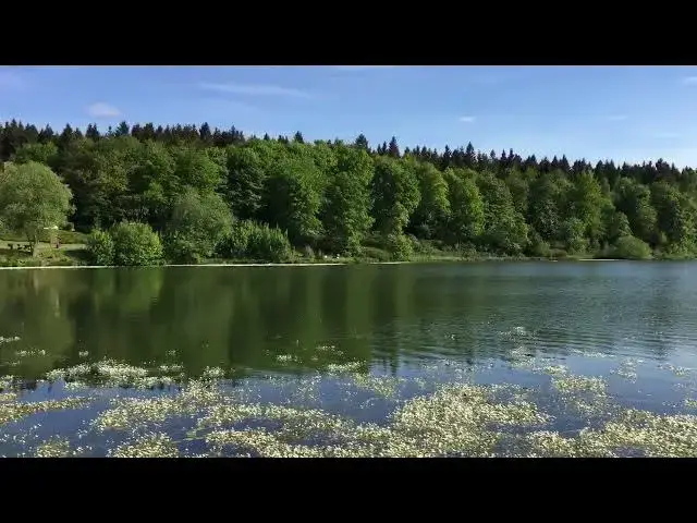 Video thumbnail for Hahnenklee-Bockswiese, Kranichsee