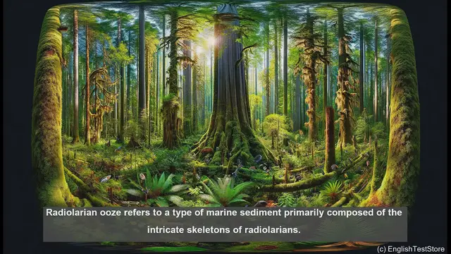 Video thumbnail for Radiolarian ooze in biology