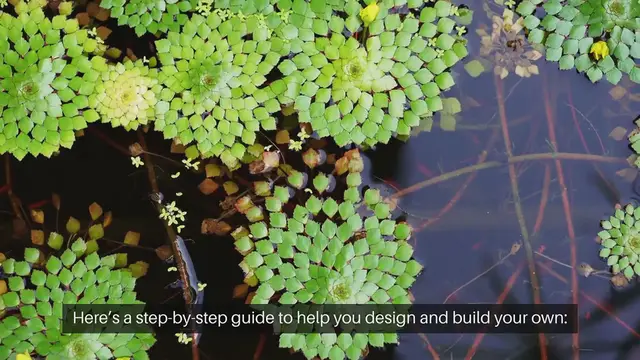 Video thumbnail for How To Create A Water Garden