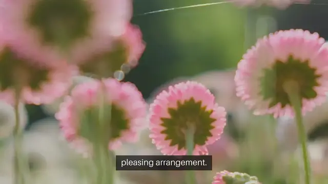 Video thumbnail for How to Create a Beautiful Outdoor Flower Bed