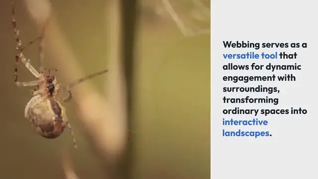 Video thumbnail for Environmental Interaction with Webbing