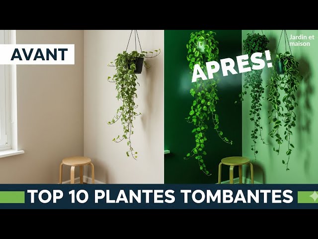 Video thumbnail for 10 Plantes Tombantes Incontournables pour votre Intérieur