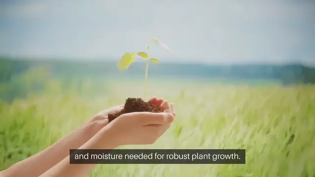 Video thumbnail for Improve Soil Health Garden