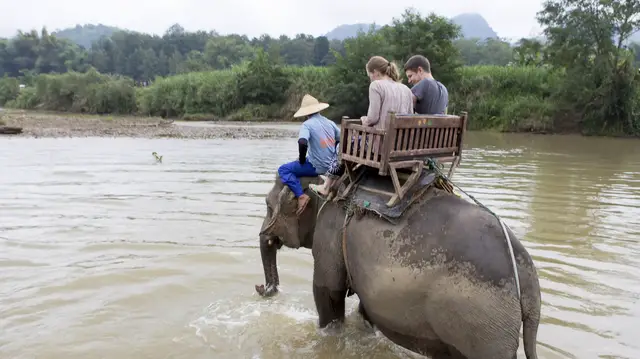 Video thumbnail for Elefanten-Dorf bei Luang Prabang in Laos