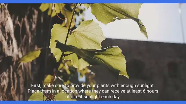 Video thumbnail for Mastering Plant Care: Strategies for Healthy Growth
