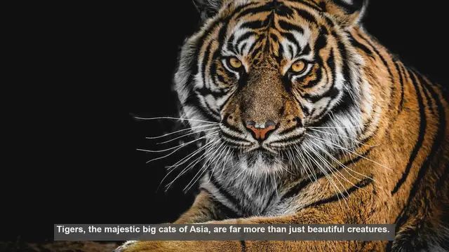 Video thumbnail for 10 Ways Tigers Boost Ecosystem Health