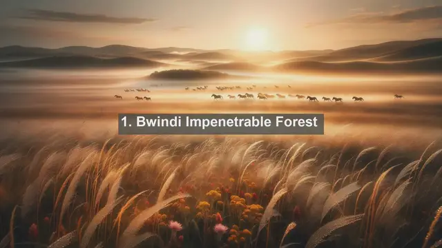 Video thumbnail for Discovering Uganda's Natural Wonders: Top 10 Must-See Landscapes