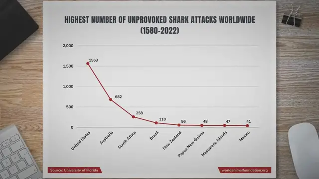 Video thumbnail for Where are the Most Shark Attacks in the Caribbean?