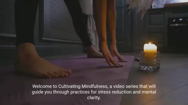 Video thumbnail for Practices for Stress Reduction