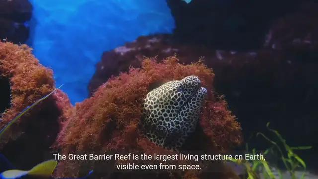 Video thumbnail for Legendary Facts