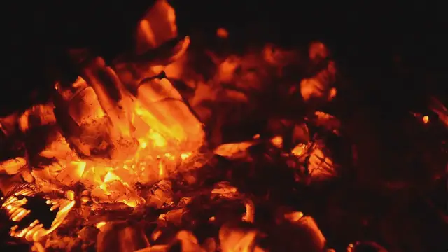 'Video thumbnail for La termodinámica en tu vida diaria'