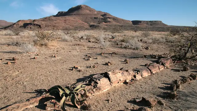 Video thumbnail for Petrified Forest - Versteinerter Wald in Namibia