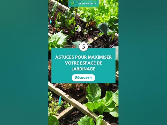 Video thumbnail for Top 5 des astuces pour maximiser votre espace de jardinage