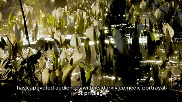 Video thumbnail for cast of the white lotus