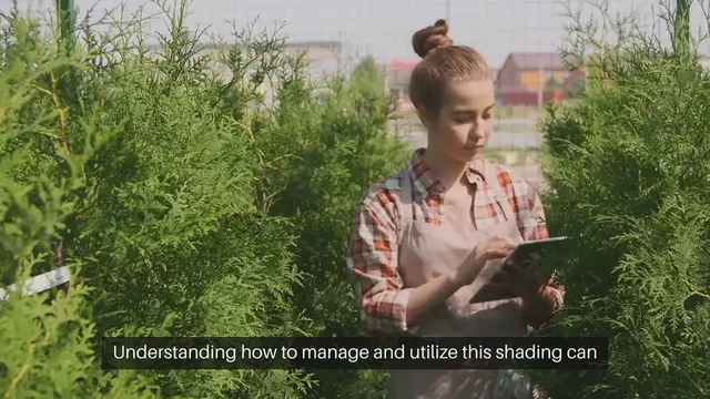 Video thumbnail for Buildings Shade Garden Areas