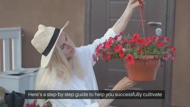 Video thumbnail for How To Grow Cucumbers In Containers