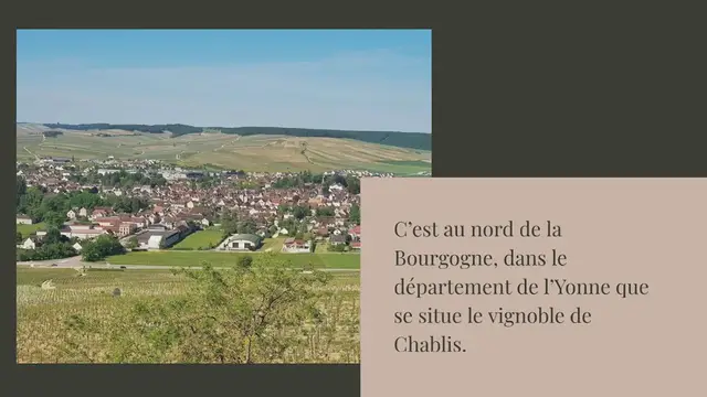 Video thumbnail for Vin blanc de Chablis : le Chardonnay dans toute sa splendeur