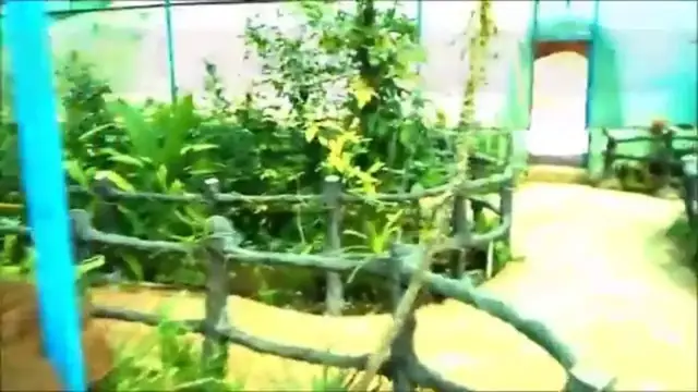 Video thumbnail for BAKKAL SHASTRIYA VANA/BOTONICAL GARDEN/Tourist places in uttara kannada/iBotonical garden in India