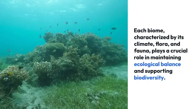 Video thumbnail for Diverse Regions and Biomes