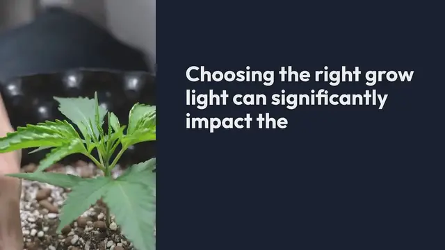 Video thumbnail for Grow Lights Explained Which One is Right for You