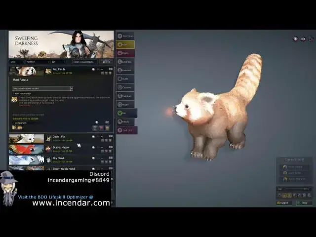 Video thumbnail for Best Pearl Shop item choices for new and budget players in Black Desert Online BDO