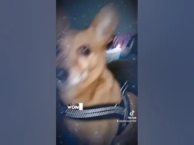 Video thumbnail for come check this