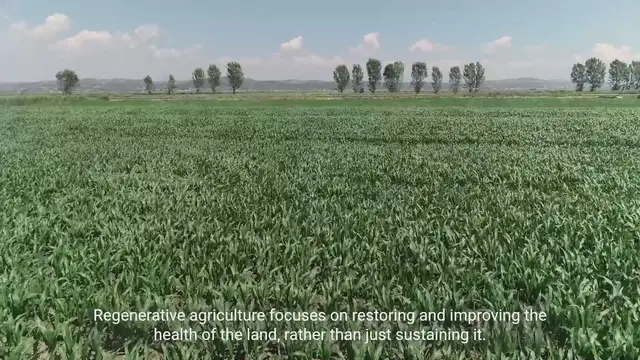 Video thumbnail for Exploring Educational Pathways in Regenerative Agriculture