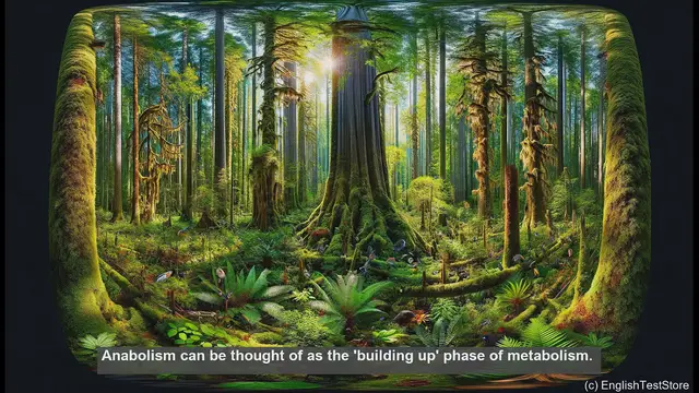 Video thumbnail for Anabolism in biology