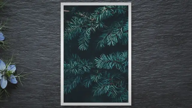 Video thumbnail for Mastering Tree Branch Drawing
