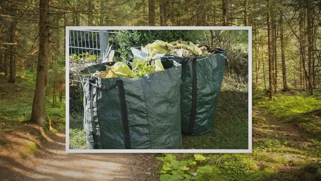 Video thumbnail for From Garden to Compost: The Journey of Green Garden Waste in Sheffield