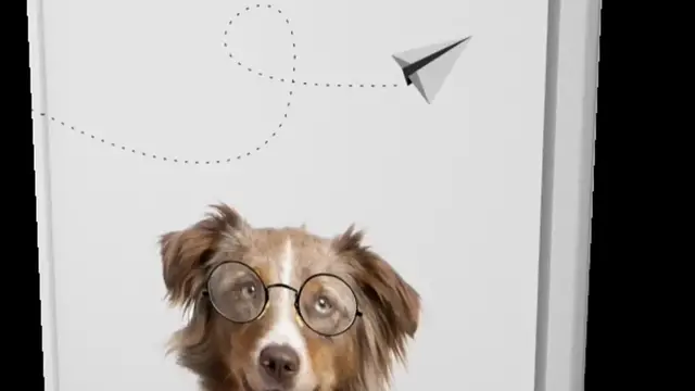 Video thumbnail for Brain Training for Dogs