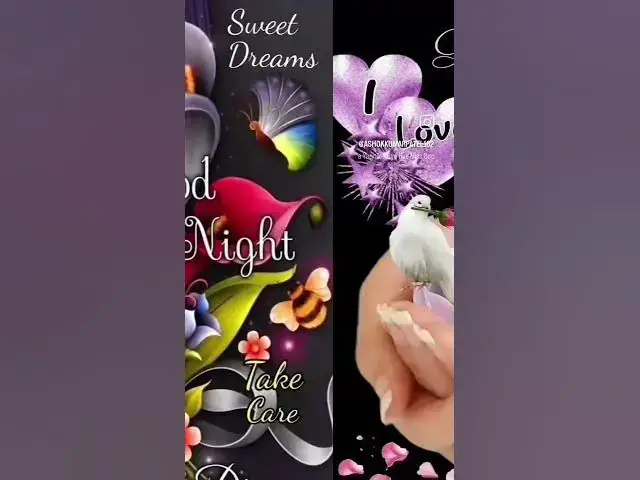 Video thumbnail for 14 December 2024