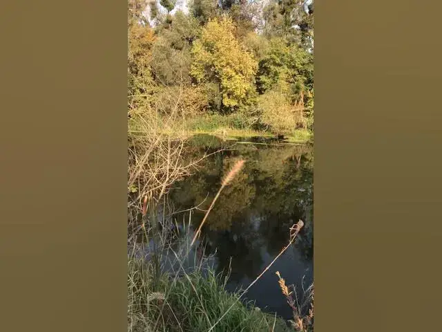 Video thumbnail for It's a beautiful fall river.😍😘🥰#shorts