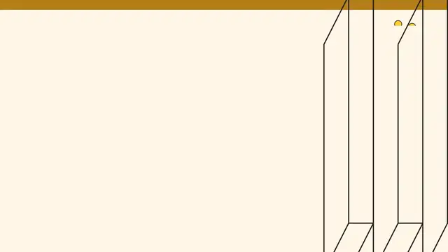 Video thumbnail for A Short Presentation on the IBJJF Weight Classes!