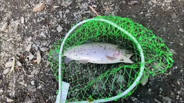 Video thumbnail for Mammoth Lakes California Trout Fishing & Camping