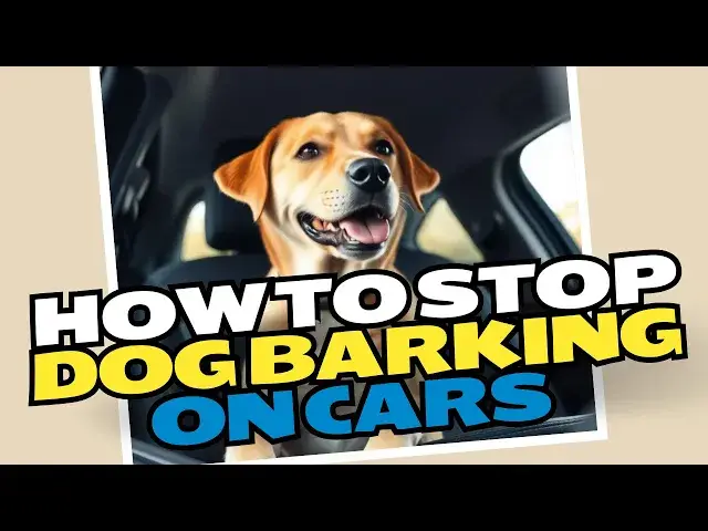 Video thumbnail for How To Stop Dog Barking While In The Car