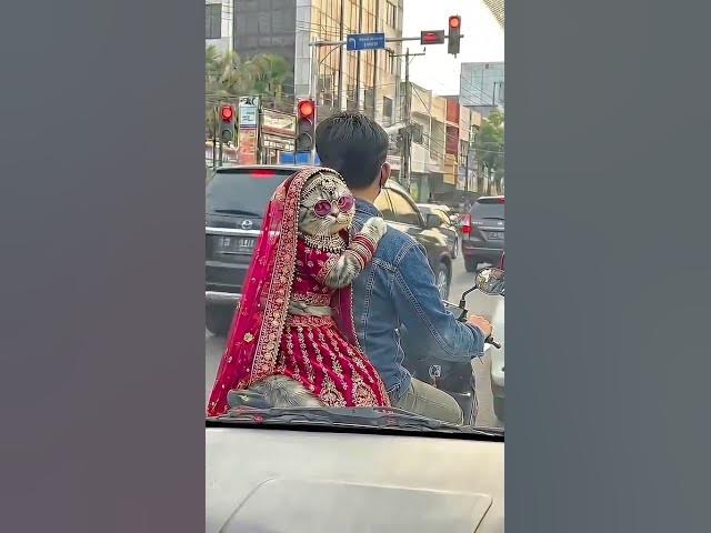 Video thumbnail for 20 Januari 2026