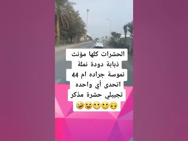 Video thumbnail for الحشرات مدكر ام مؤنث 😂😂😂😂👍🙉🔥🤣🤣🤣🙉