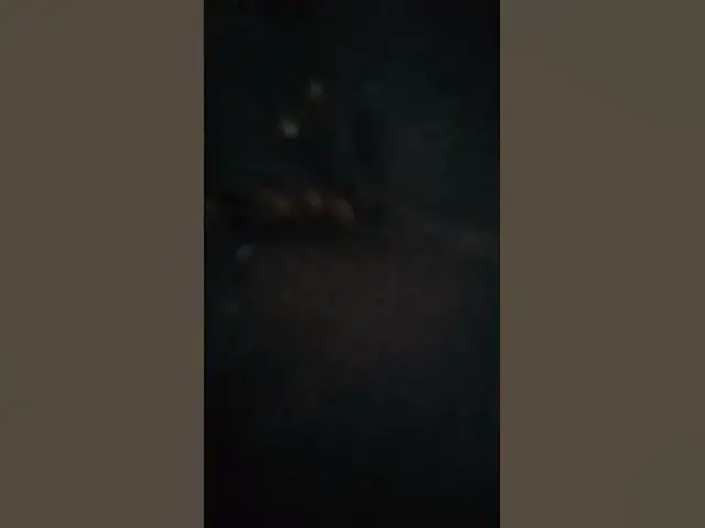 Video thumbnail for الله يسمح لينا من الوالدين 🔥🔥🔥👍👍😭