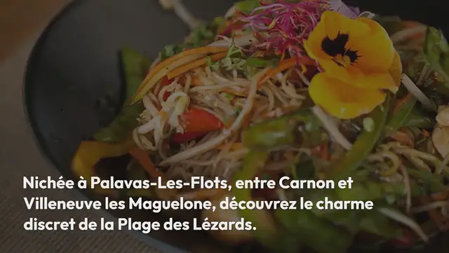 Video thumbnail for La Plage des Lézards à Palavas-les-Flots