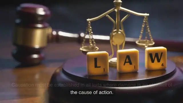 Video thumbnail for Novus actus interveniens in tort law www.e-lawresources.co.uk