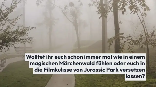 Video thumbnail for Ein mystischer Regenwald im australischen Victoria