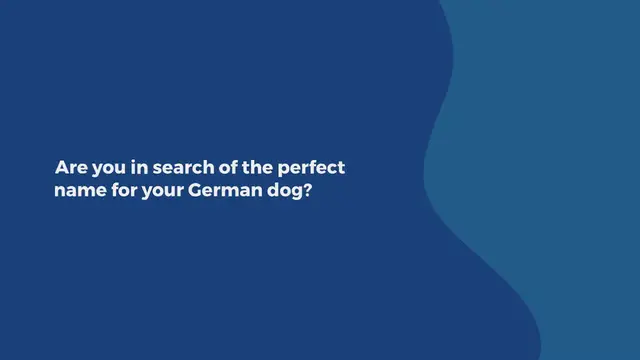 Video thumbnail for 380+ of the Best Dog Names for your Wunderhund