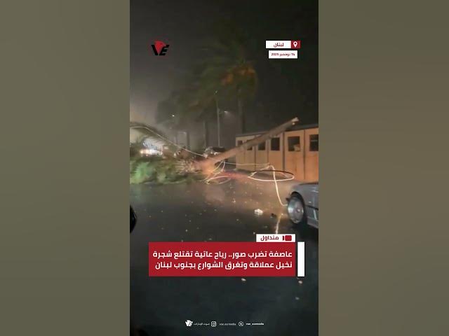 Video thumbnail for عاصفة تضرب #صور.. رياح عاتية تقتلع شجرة نخيل عملاقة وتغرق الشوارع بجنوب #لبنان