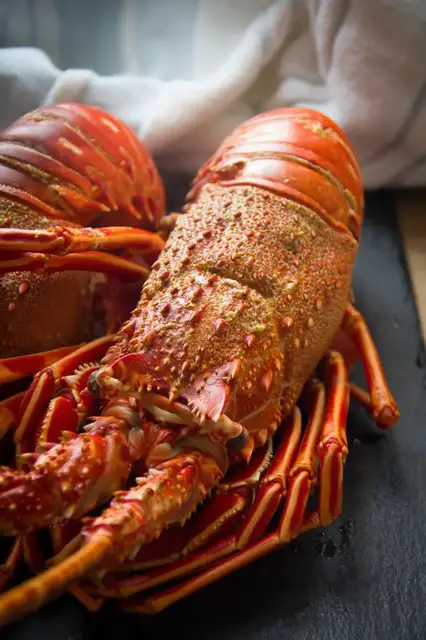'Video thumbnail for Italian Aragosta –Lobster Dish'