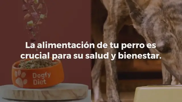 Video thumbnail for Las 9 mejores marcas de comida natural para perros en 2024