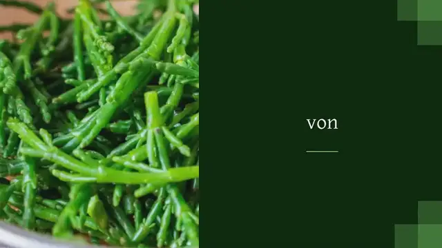 Video thumbnail for QUELLER / SALICORNES / MEERESSPARGEL ZUBEREITEN