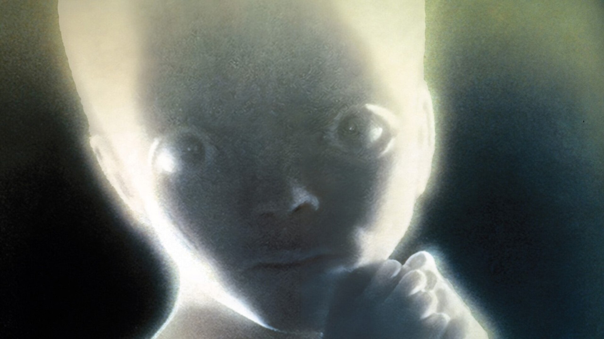 Video thumbnail for The Most Confusing Moments In Sci-Fi Movie History Explained