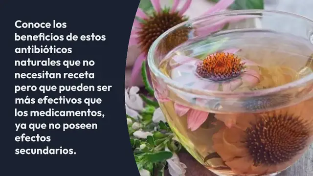 Video thumbnail for 12 antibióticos naturales que no necesitan receta